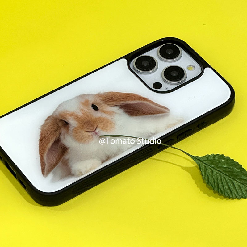 Niche Animal Photography Y2K P - Photography With Iphone 15 recension och pris